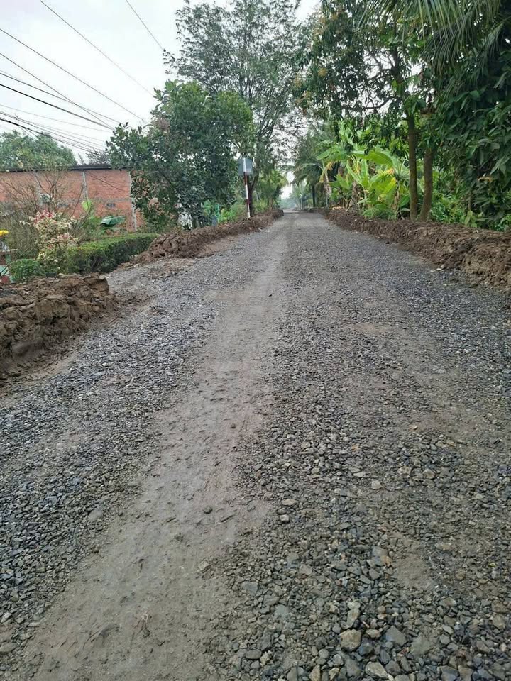 Đất vườn Bến Lức 500m² 600 triệu - Sổ đỏ chính chủ