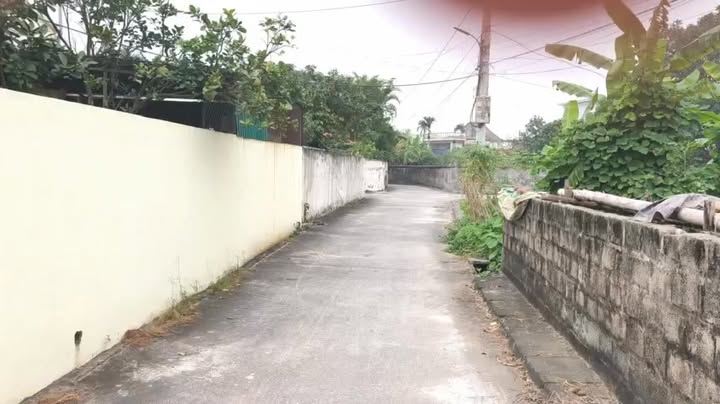 Đất Liên Khê Thái Thụy 106m² 0.6-0.7 tỷ - Sổ đỏ chính chủ