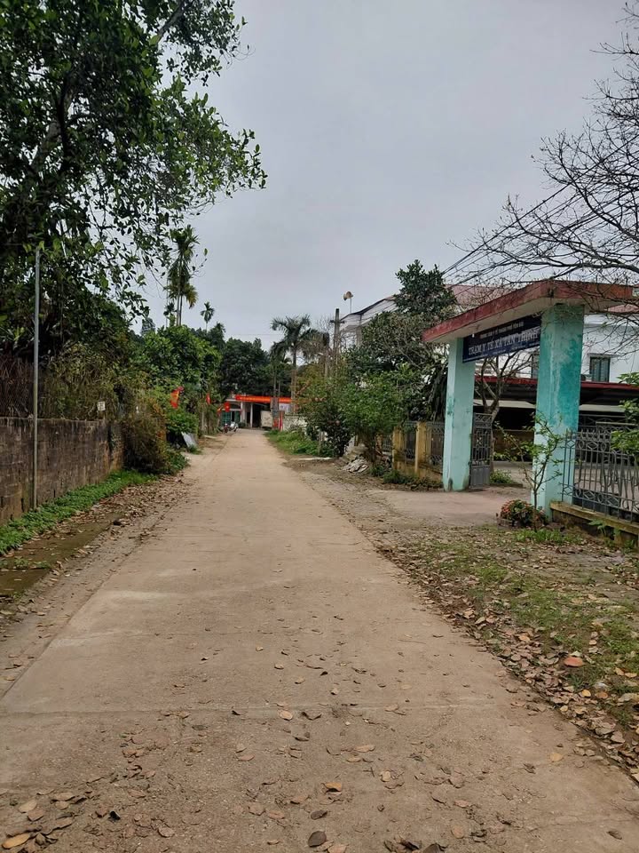 Đất nền Tân Thịnh Yên Bái 682m² 2,45 tỷ - Sổ đỏ chính chủ