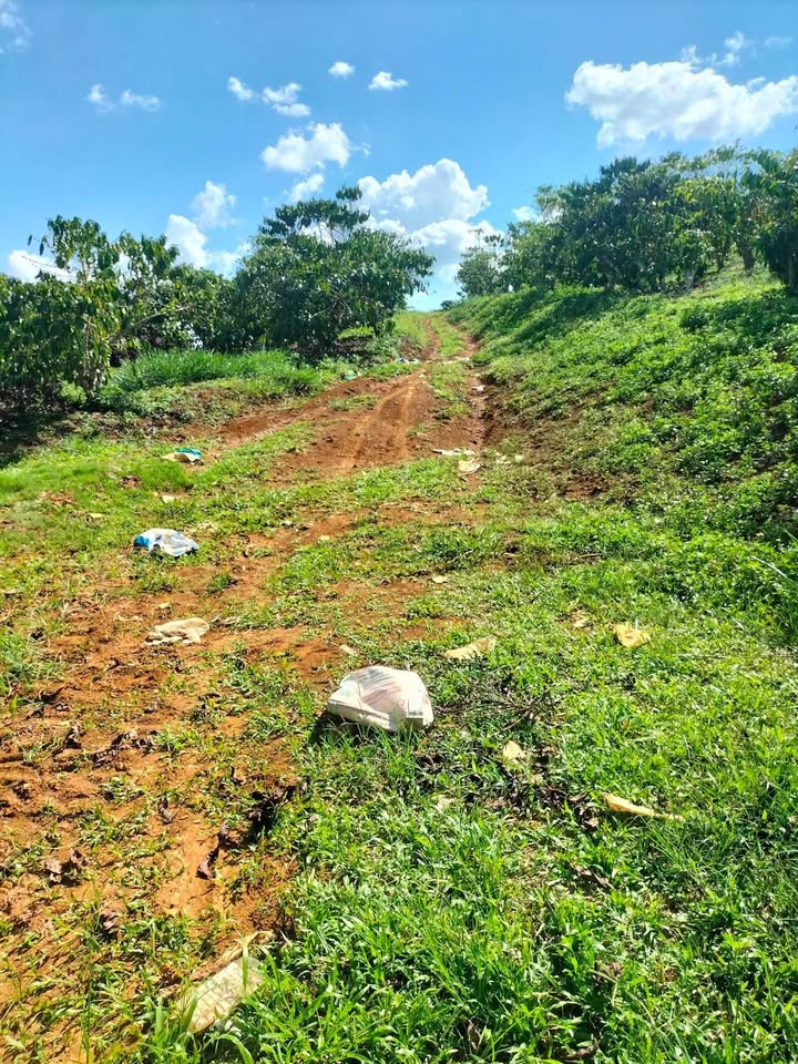 Đất vườn Bảo Lộc 3.132m² 5,655 tỷ - Sinh thái xanh