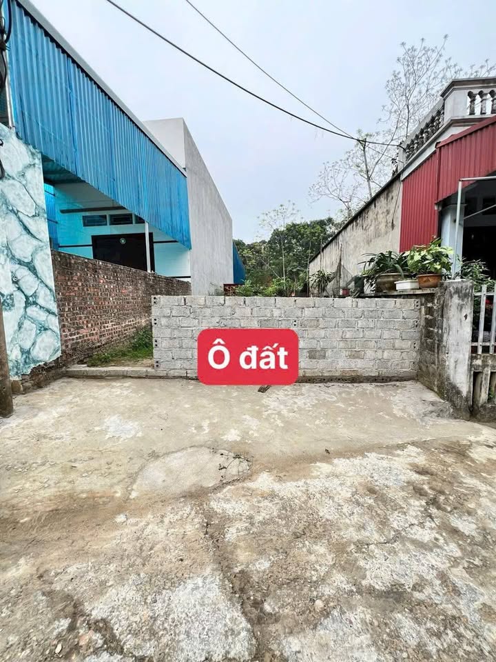 Đất nền Thanh Sơn Phú Thọ 113m² 600 triệu - Đường ô tô