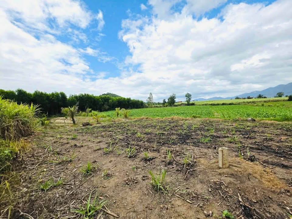 Đất nền Ninh Thượng 500m² giá 1xx tr - Sổ đỏ