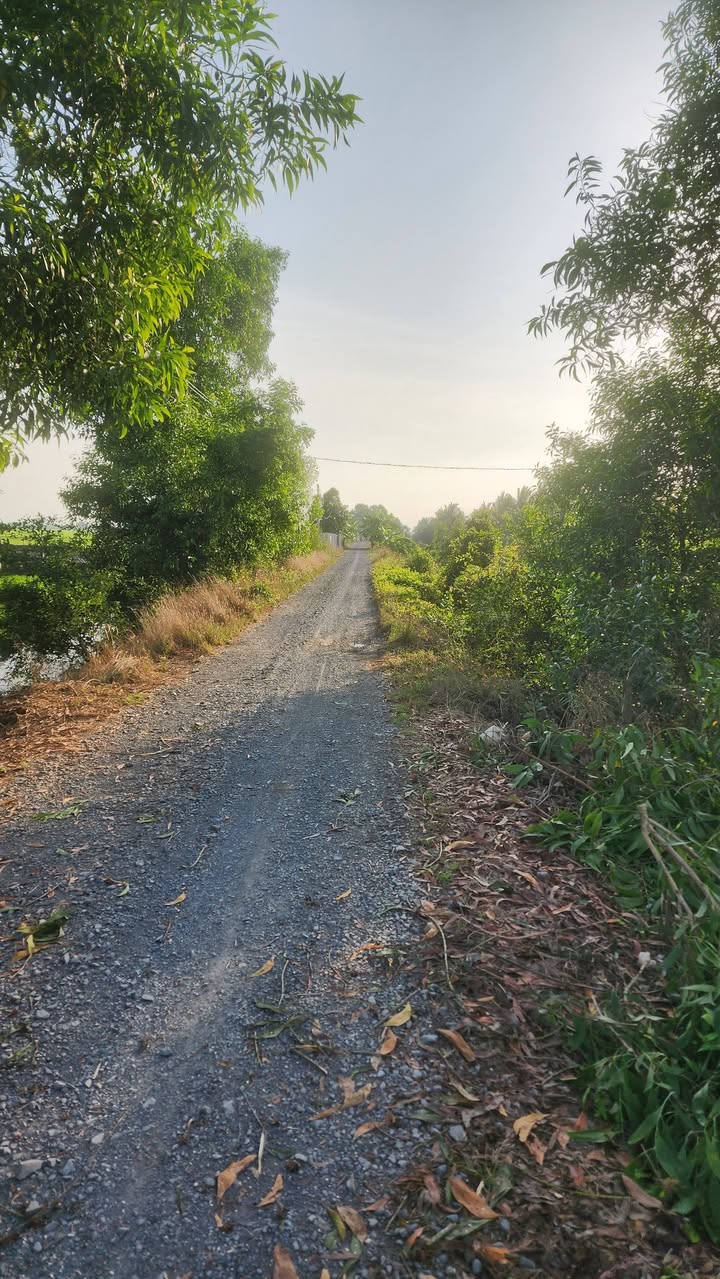 Đất nền Lộ Đá Xanh Q7 15000m² 2,325 tỷ - Đường ô tô