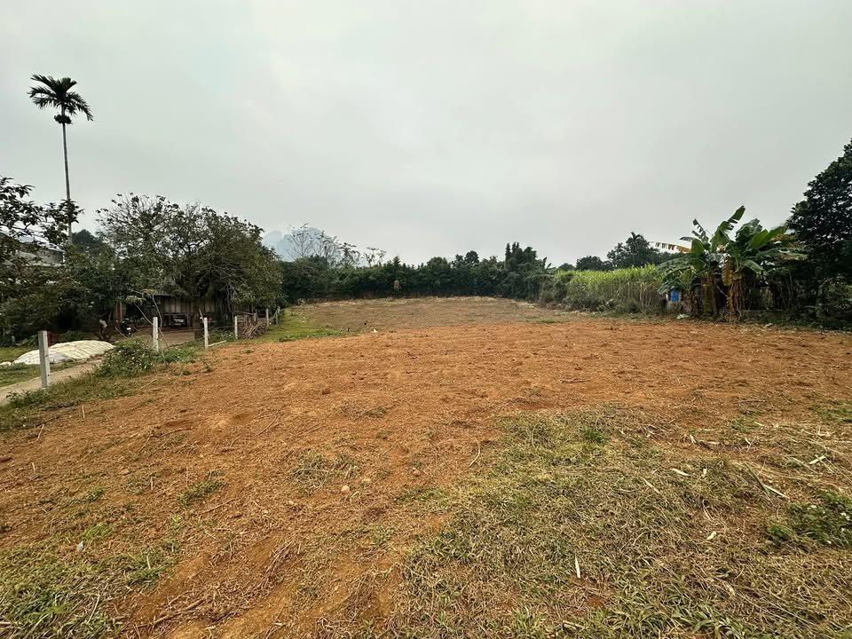 Đất Hợp Phong Cao Phong 1360m² giá thỏa thuận - Sổ đỏ chính chủ