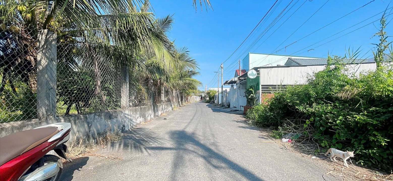 Đất nền D5 Trà Vinh 120m² 1.15 tỷ - Đất thổ cư 100%