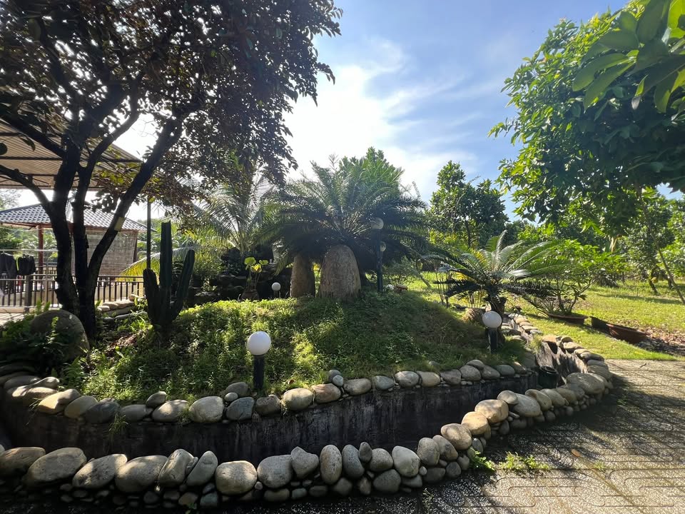 Nhà vườn Tiến Thành Đồng Xoài 5000m² - Vị trí đẹp