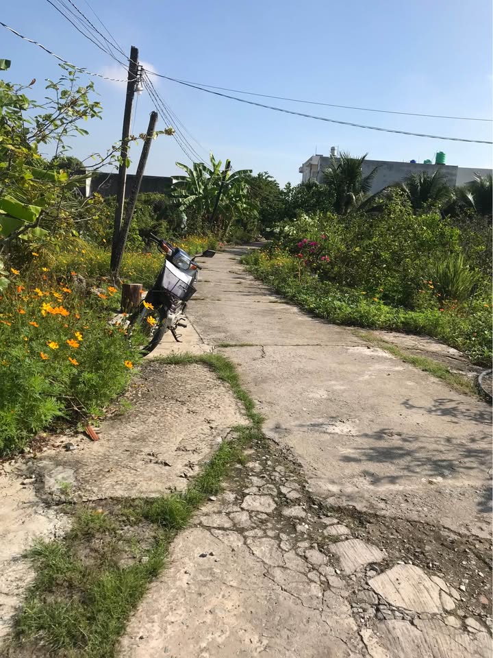 Đất nền Thủ Đức Hẻm 88 Võ Văn Môn 174m² 1.6 tỷ - Sổ đỏ chính chủ