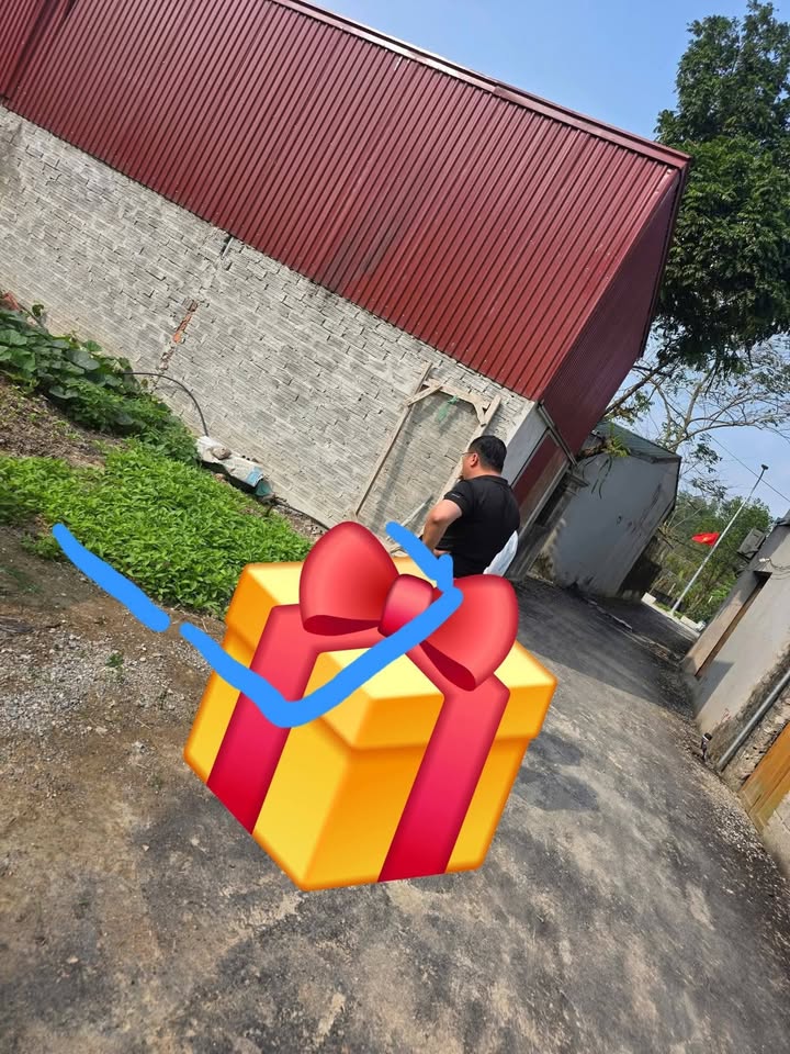 Đất nền Liêm Cần Thanh Liêm 100m² 1.3 tỷ - Sổ đỏ chính chủ