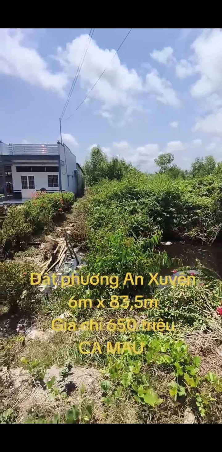Đất Tân Xuyên Cà Mau 501m² 650 triệu - Sổ đỏ chính chủ
