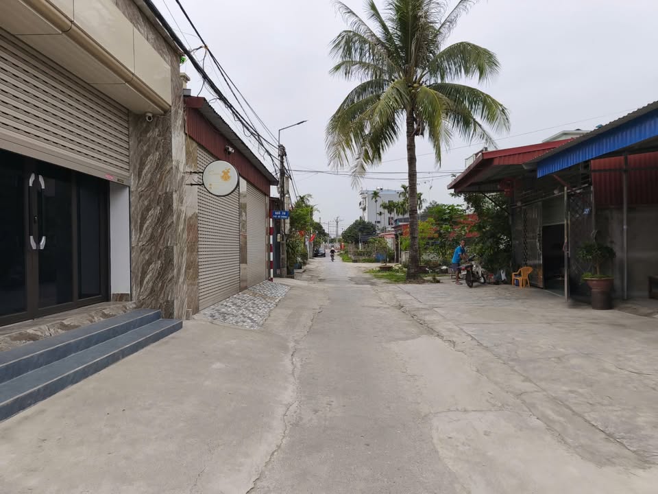 Đất nền Dã Tượng Dương Kinh 48m² 1.5 tỷ - Sổ đỏ chính chủ