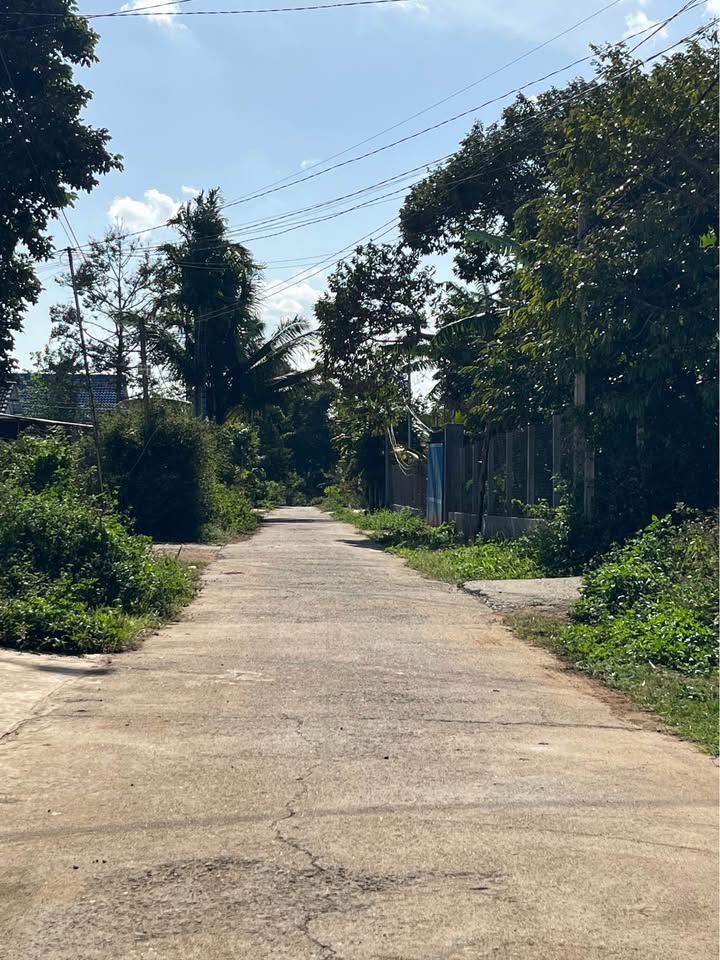 Đất nền Buôn Ma Thuột B3 Mậu Thân 115m² 1.28 tỷ - Sổ đỏ chính chủ