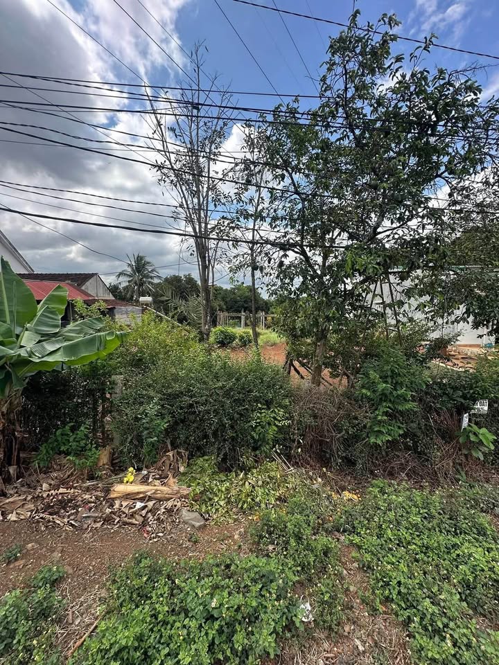 Đất Nguyễn Thị Định Tuy Hòa 170m² 1,65 tỷ - Hạ tầng hoàn thiện