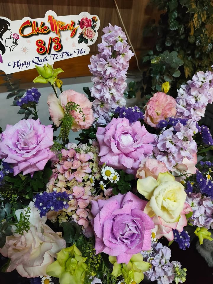 Đất nền Sầm Sơn Quảng Cư 96m² 900 triệu - Đường ô tô