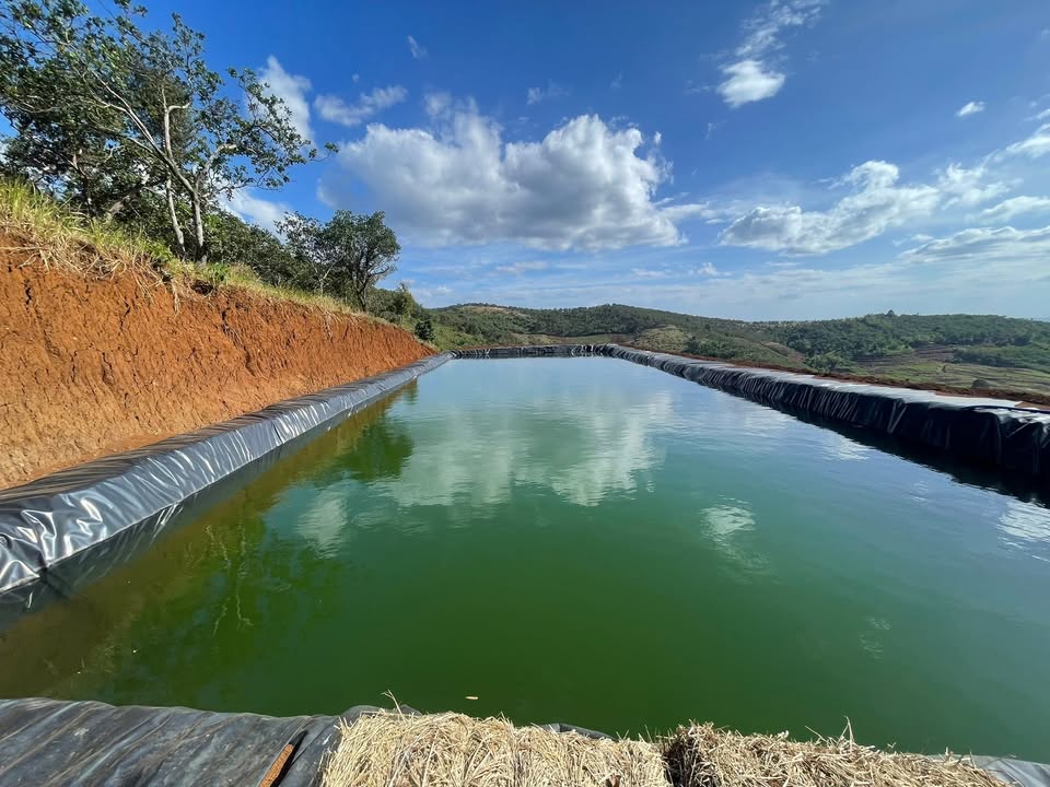 Đất nền Quảng Tân Tuy Đức 3,2ha 3 tỷ - Sổ đỏ chính chủ