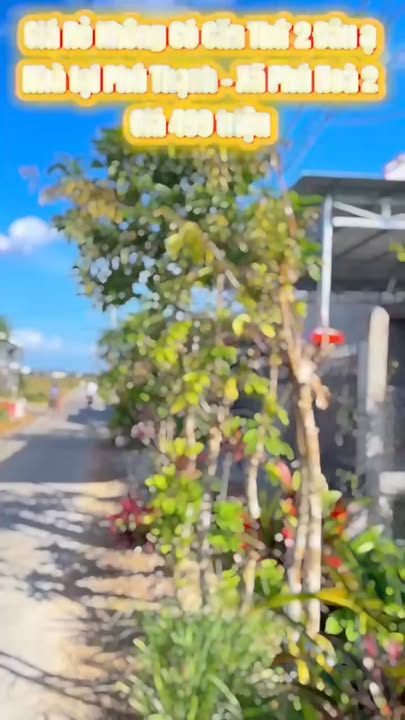 Nhà Cấp 4 Phú Hòa 80m² 499 triệu - Sẵn sàng ở ngay