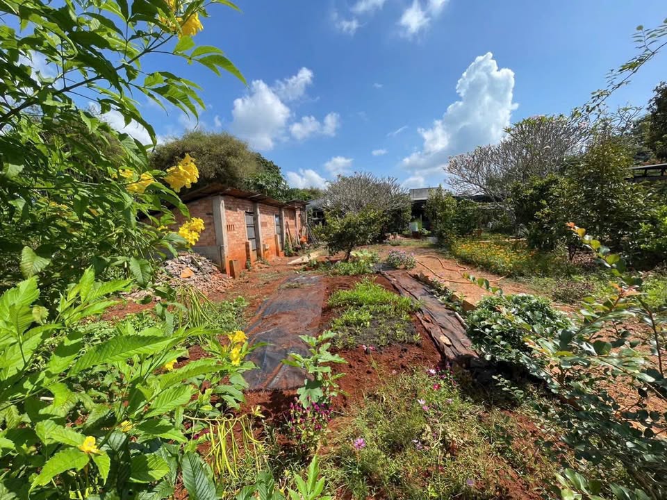 Đất nền Đường số 73 Long Tâm 168m² 2,88 tỷ - Sổ đỏ chính chủ