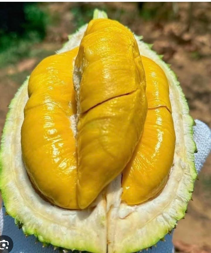 Đất nền Xuân Sơn Châu Đức 540m² 1.7 tỷ - Sổ đỏ chính chủ