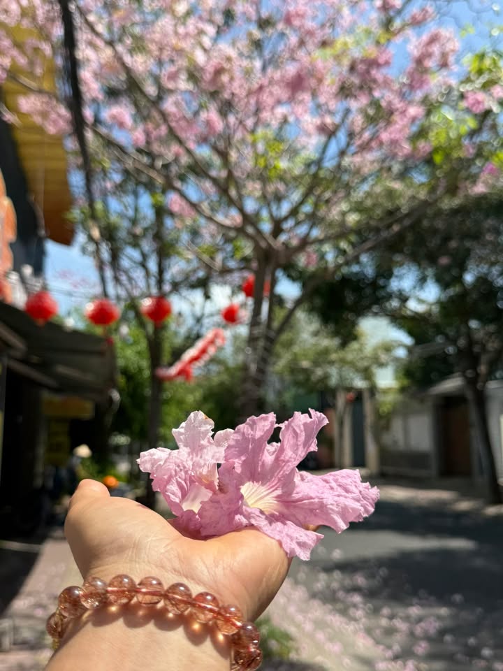 Đất nền Bà Rịa đường 15 126m² 900 triệu - Thổ cư 100%