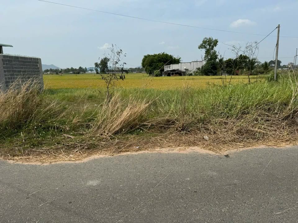 Đất nền Đất Đỏ Long Đất 124m² 1.19 tỷ - Sổ đỏ chính chủ