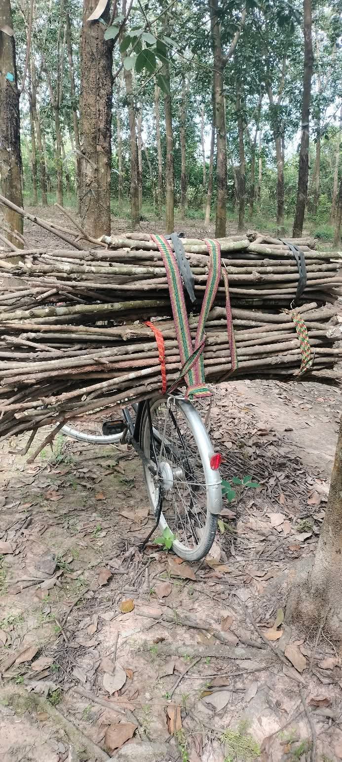 Đất nền KP4 Hội Nghĩa 450m² 4 tỷ - Sổ đỏ chính chủ