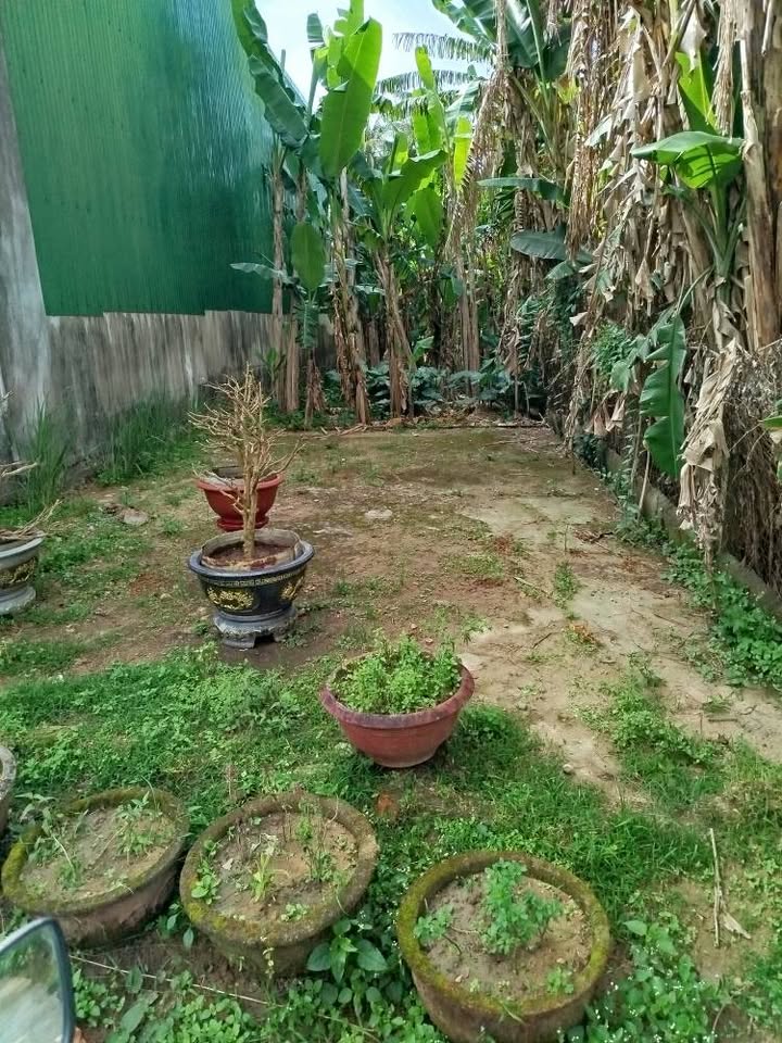 Đất Nghĩa Dõng Quảng Ngãi 125m² 600-699 triệu Sổ đỏ chính chủ