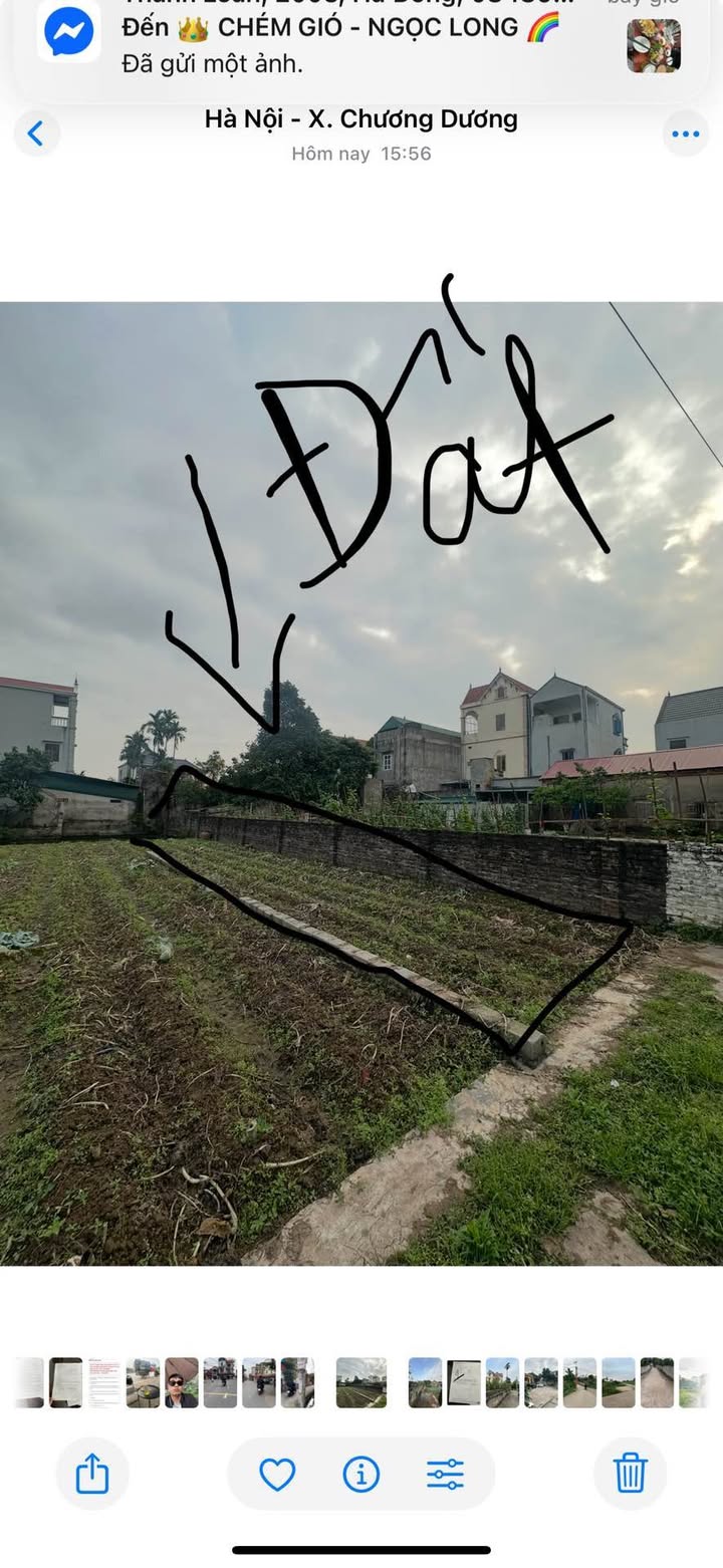 Đất nền Xã Chương Dương Thường Tín 56m² - Sổ đỏ chính chủ