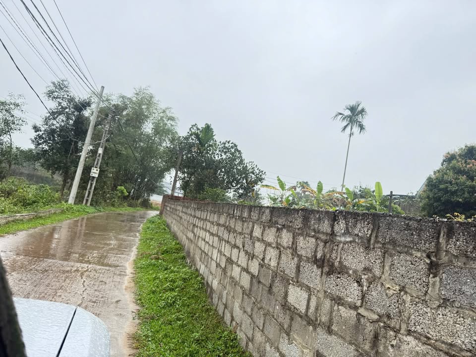 Đất nền Phường Hồng Tiến 102m² 7xx triệu - Tiềm năng tăng giá