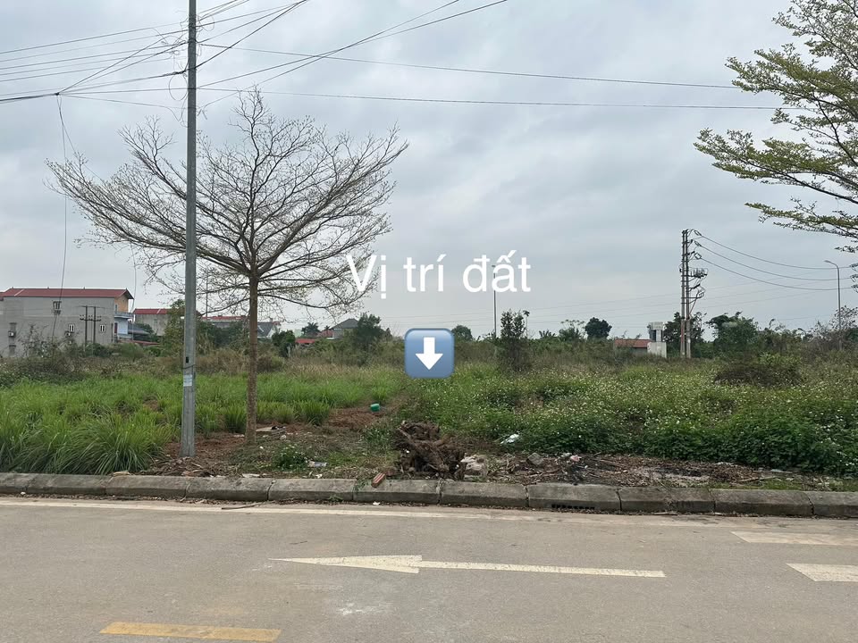 Đất Phường Chũ Lục Ngạn 90m² 1,9 tỷ - Sổ đỏ chính chủ