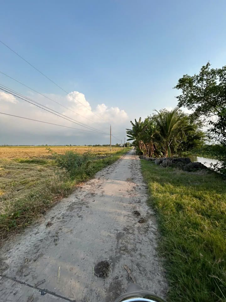 Đất nền Phú Tân An Giang 2.200m² giá 1,1 tỷ - Đường to ô tô