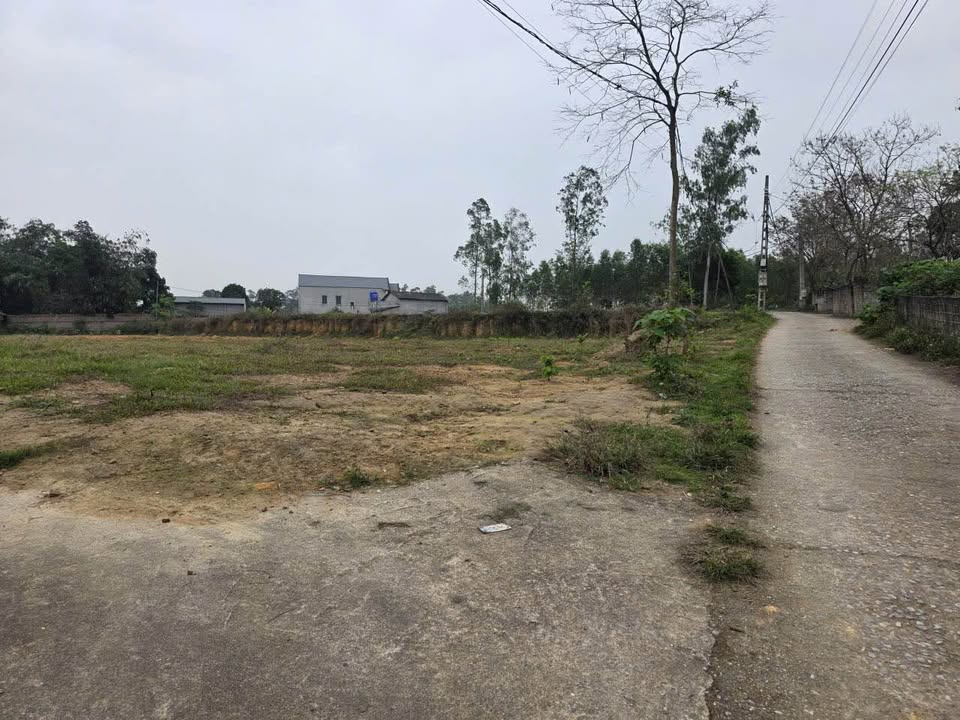 Đất nền Hoàng Hoa Tam Dương 110m² 5xxtr - Sổ đỏ chính chủ