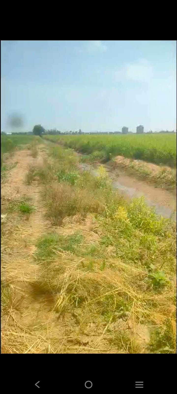 Đất nền Tân Công Sính Tam Nông 21.2 công 1.6 tỷ - Sổ đỏ sẵn