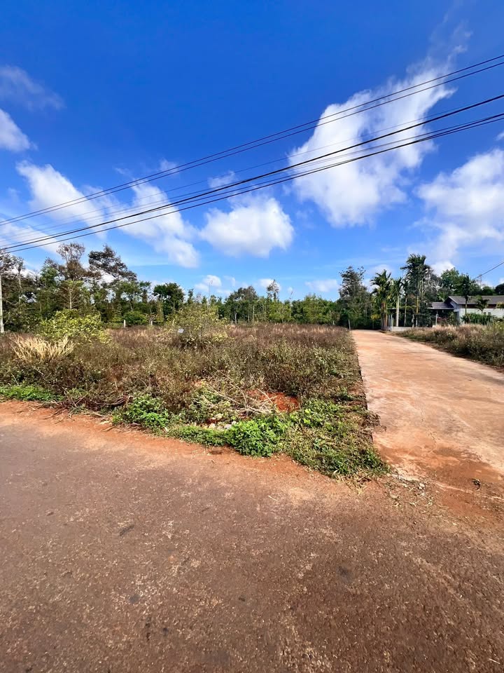 Đất nền Tân An Buôn Ma Thuột 384m² 3.2 tỷ - Sổ đỏ chính chủ