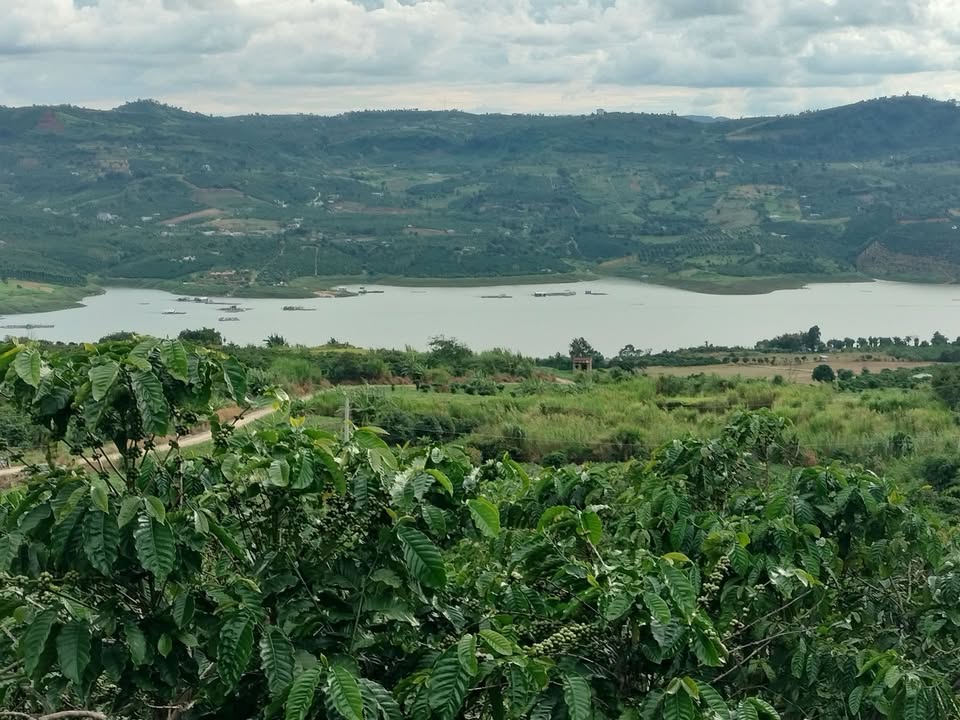 Đất nền Lâm Hà 30.000m² 6 tỷ - Sổ hồng chính chủ