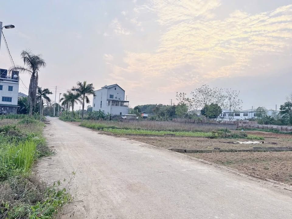 Đất nền Tiên Kiên Lâm Thao 160m² 1 tỷ - Sổ đỏ chính chủ