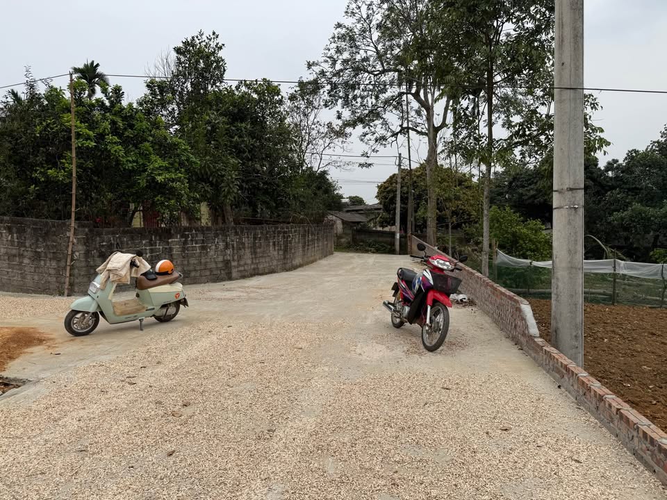 Đất nền Phú Hộ Phú Thọ 100m2 giá F0 - Sổ đỏ chính chủ