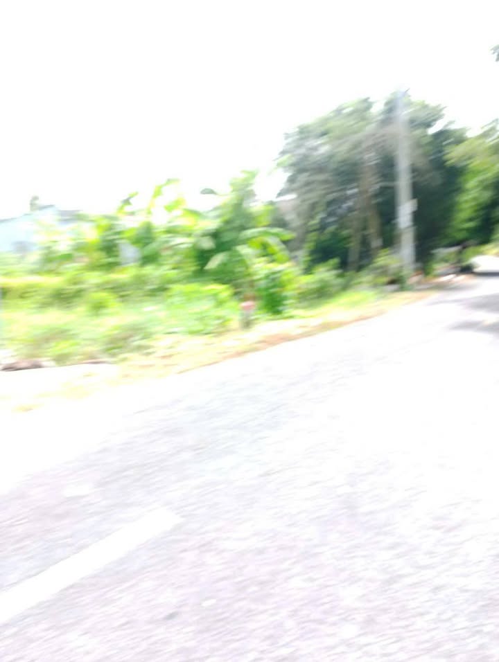 Đất CLN TL926 Châu Thành A 3.282m² 2.2 tỷ - Sổ đỏ chính chủ