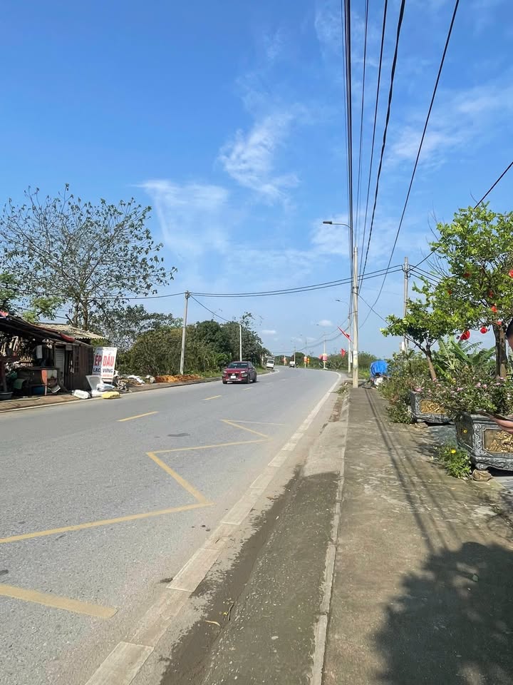 Đất nền Phong Châu Phú Thọ 80m² - Sổ đỏ chính chủ