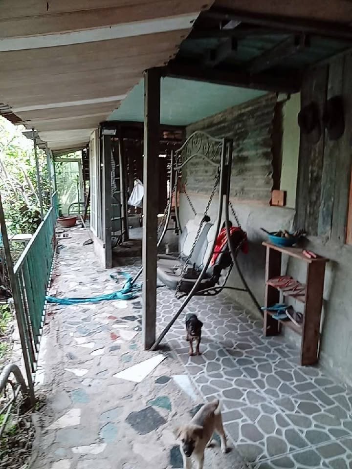 Đất trồng cây Bà Điểm Hóc Môn 1.024m²/3,6 tỷ - Đầu tư dài hạn