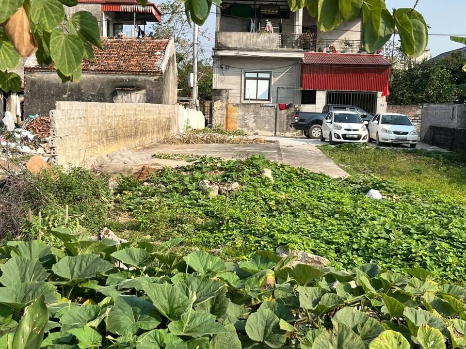 Đất thổ cư Xuân Tình Đồng Tân 100m² 3 tỷ - Sổ đỏ chính chủ