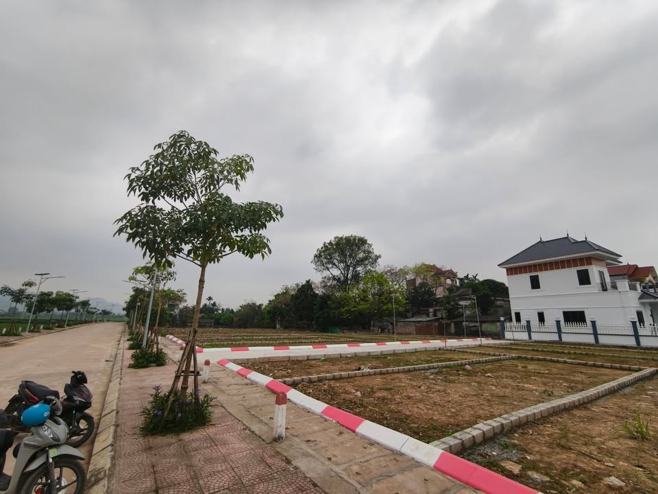 Đất nền Tuy Lai Mỹ Đức 80m² giá 1 tỷ - Sổ đỏ chính chủ