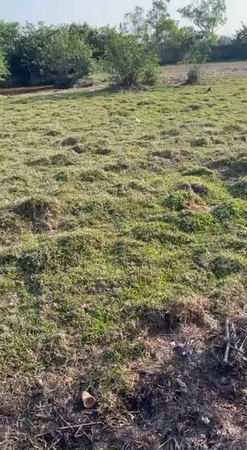 Đất nền Ấp 4 Vĩnh Lộc A 1800m² giá 7.2 tỷ - Sổ đỏ chính chủ