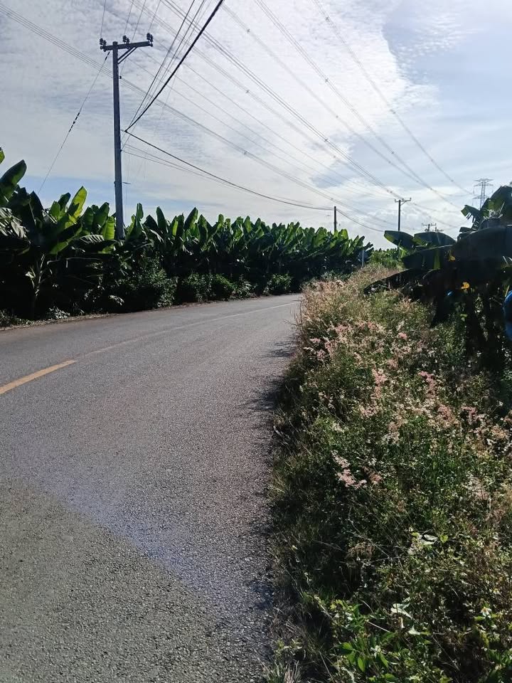 Đất nền Nhơn Trạch 432m² 1.2 tỷ - Sổ đỏ chính chủ