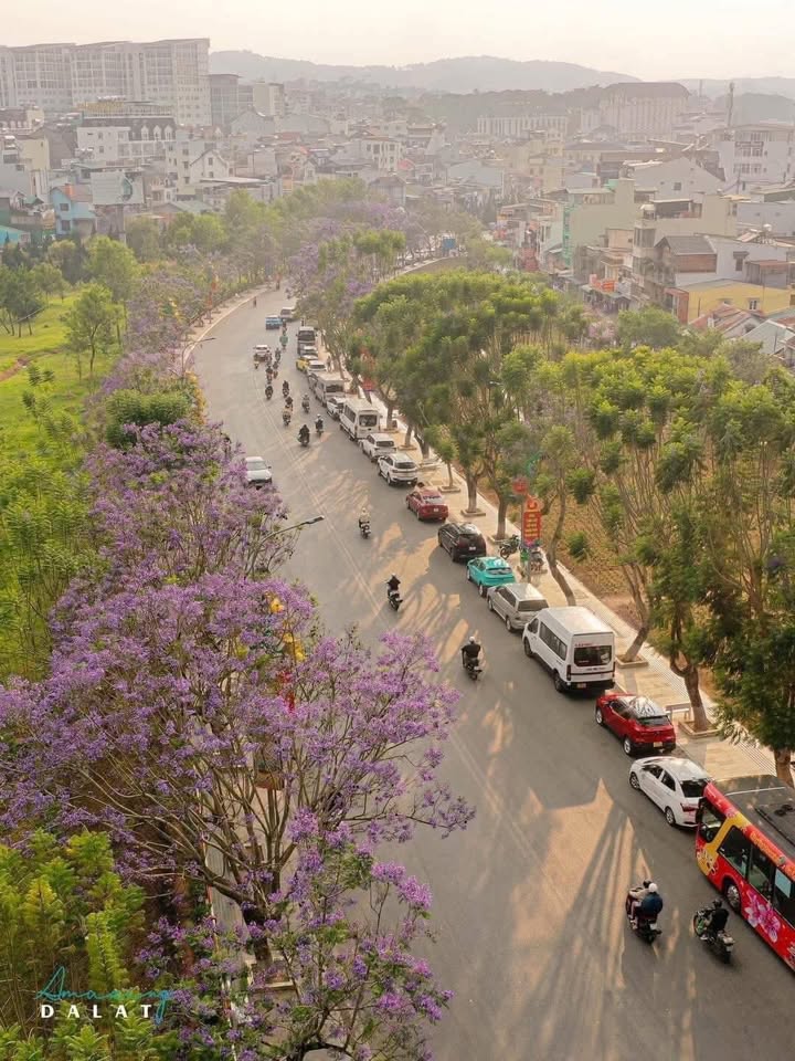 Đất Phường 8 Đà Lạt 82m² 6.5 tỷ - Đất thổ cư 100%