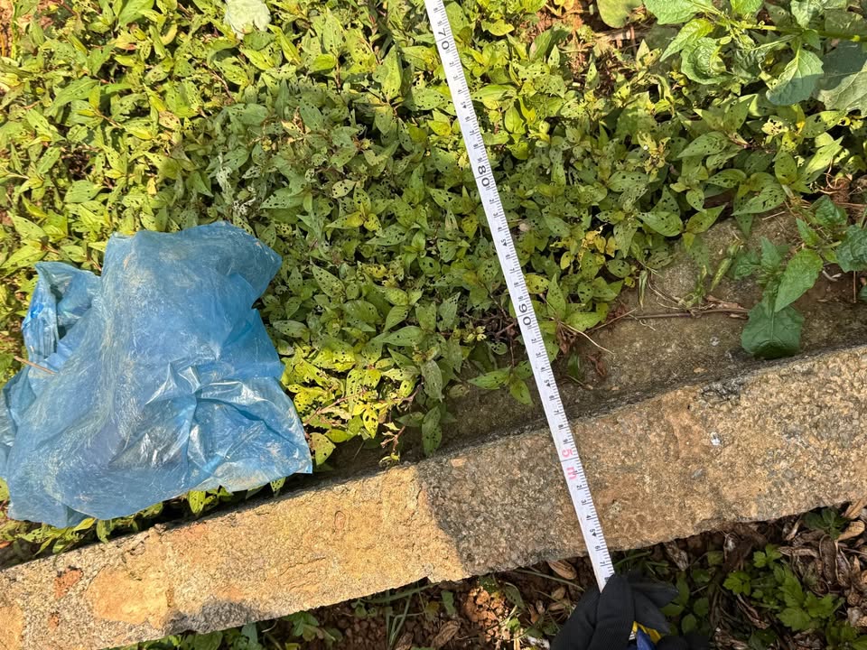 Đất nền Quyết Thắng 100m2 7xx triệu - Sổ đỏ chính chủ