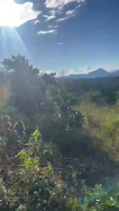 Đất vườn Tân Hà Đam Rông 10ha 5.5 tỷ - Sinh thái xanh