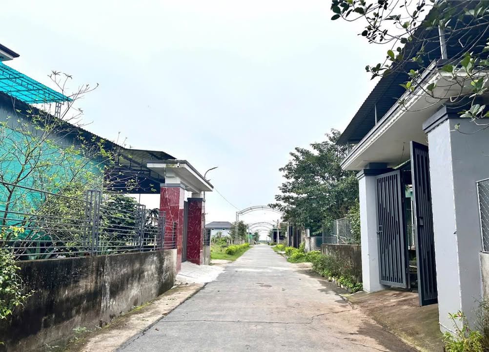 Đất nền Thạch Xuân Thạch Hà 663m² 1.1 tỷ - Sổ đỏ chính chủ