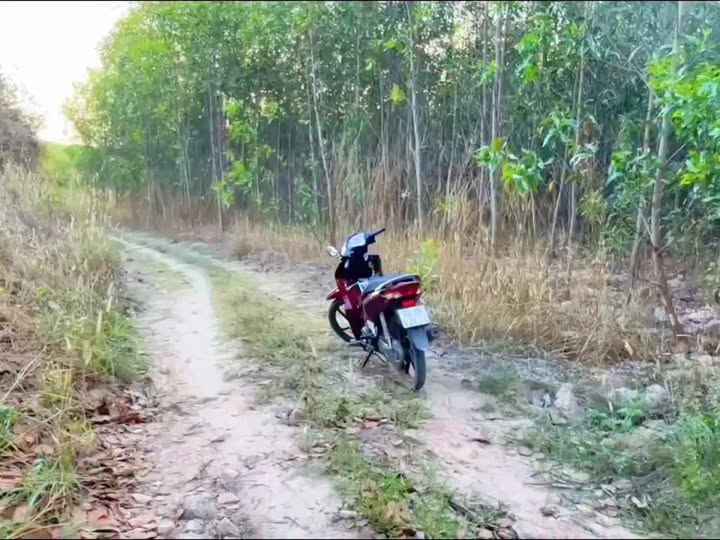 Đất vườn Tân Đức Hàm Tân 1,8ha 1,4 tỷ - Đầu tư dài hạn