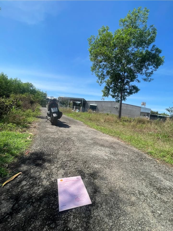 Đất Xuân Thành Xuân Lộc 1.012m² 5xx triệu - Pháp lý rõ ràng