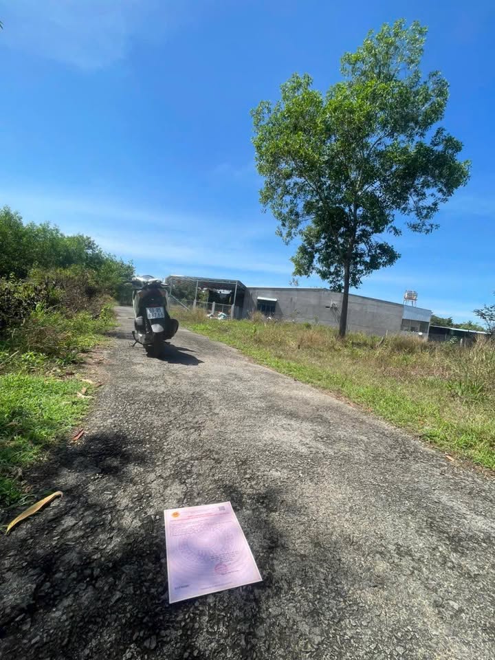 Đất nền Xuân Thành 1.012m² giá 0.5 tỷ - Sổ đỏ chính chủ