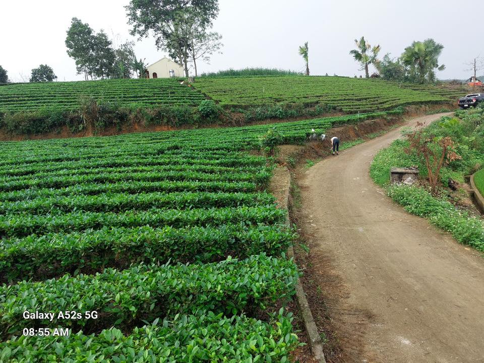 Đất Na Mao, Đại Từ 5000m² 2 tỷ - Sổ đỏ chính chủ